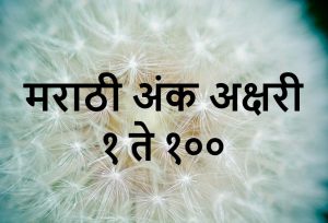 1 ते 100 मराठी अंक अक्षरी | 1 to 100 Numbers in Marathi