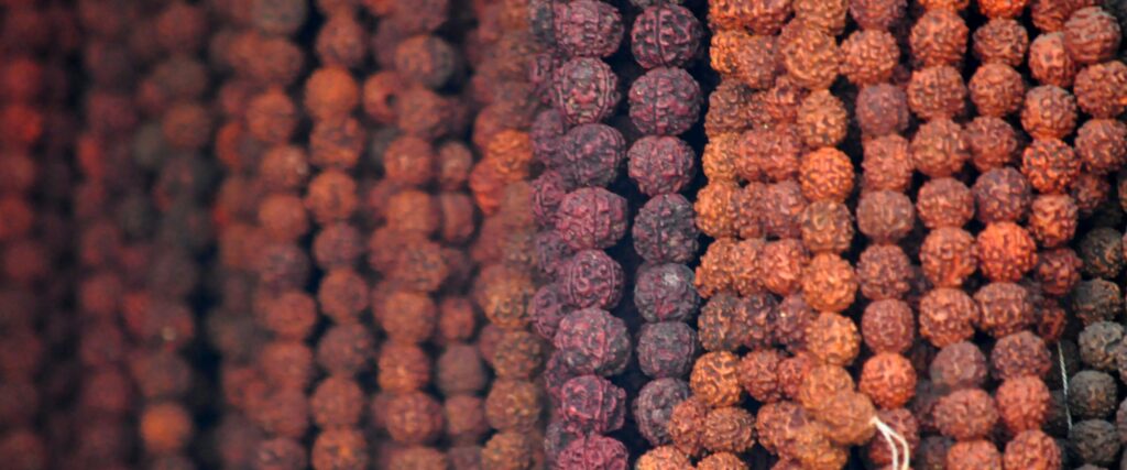 Benefits Of Rudraksha